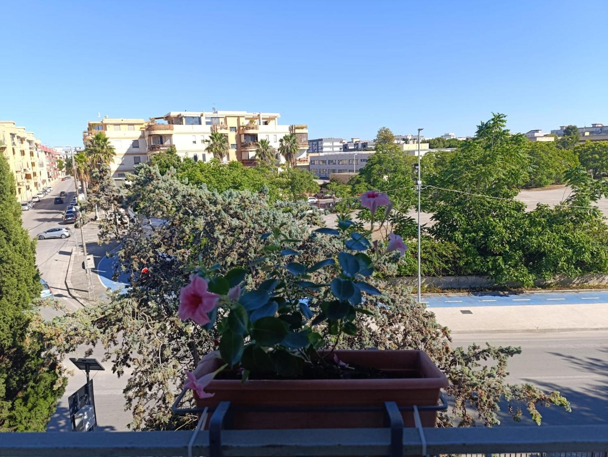 Le Rondini Apartment Trani Exterior photo